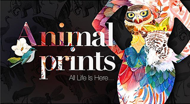 北京电商美工培训