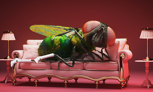 北京电商设计培训