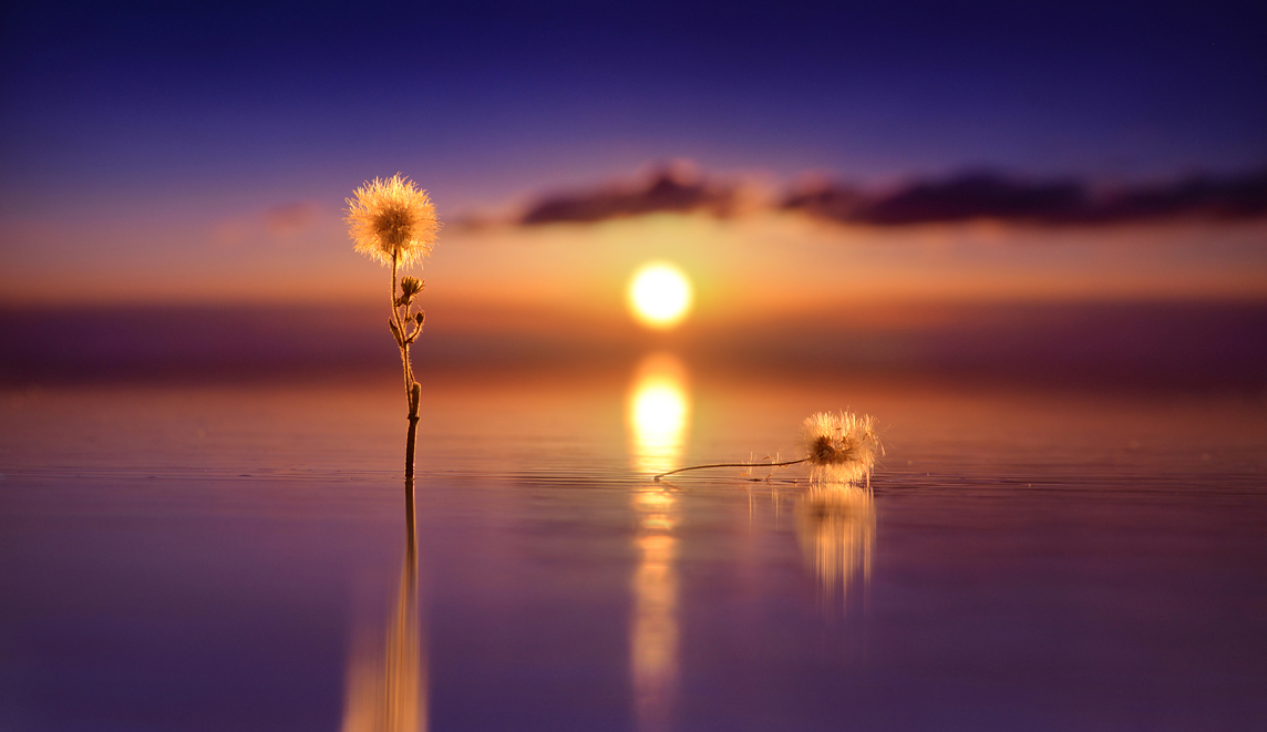 北京视频剪辑培训